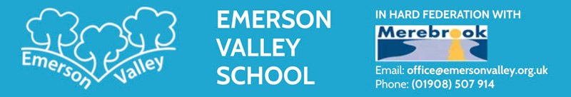 emerson-mobile-header-800